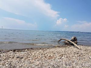 a piece of driftwood on a rocky beach near the water at 7 Heaven in Eichenberg