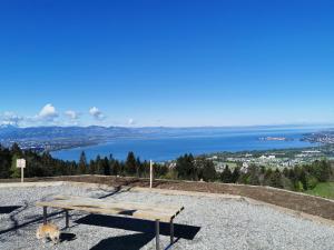 a bench on a hill with a view of the water at 7 Heaven in Eichenberg