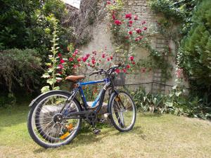 a bike parked next to a wall with flowers at Le Clos des Palmiers in Saint-ouen-dʼAunis