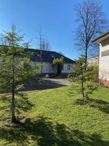 two trees in a yard next to a house at Ho(s)tel Ahrbergen in Giesen