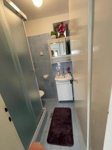 Ένα μπάνιο στο EMSO apartmani +15 φωτογραφίες