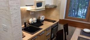 Kuchyň nebo kuchyňský kout v ubytování Zlatibor apartmani centar