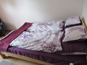 バダチョニトマイにあるBadacsonytomaj apartman 2+2 fő részéreの紫と白の毛布が敷かれたベッド