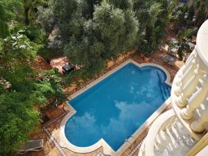 an overhead view of a swimming pool in a garden at URH Sitges Playa in Sitges