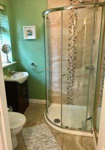 y baño con ducha, aseo y lavamanos. en Red Deer Cosy Apartment in Letterfrack Connemara en Letterfrack