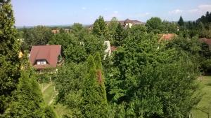 una vista aérea de una casa en medio de árboles en Ágnes Villa, en Zalakaros
