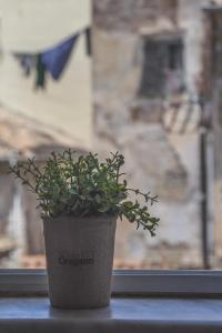 Ảnh trong thư viện ảnh của Downtown Apt at Filellinon ở Corfu Town
