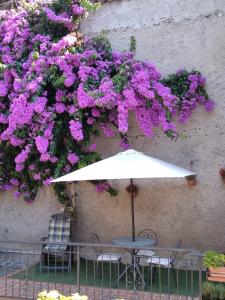 Gallery image of Il Giardino di Laura in Toscolano Maderno