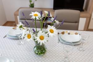 Galeriebild der Unterkunft Apartment Mira Šilo-Krk in Šilo