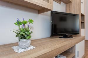 TV/Unterhaltungsangebot in der Unterkunft Apartment Mira Šilo-Krk