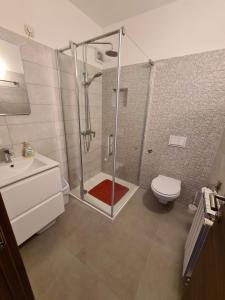 a bathroom with a shower with a toilet and a sink at Apartments Ana in Medulin +24 photos