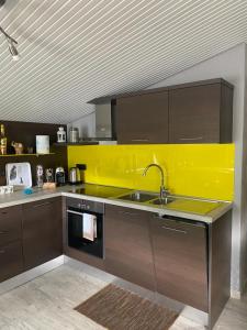 A kitchen or kitchenette at Il Castellaccio