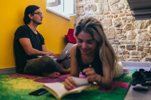 Majutusasutuse Fiesta Siesta Social Hostel külastajad