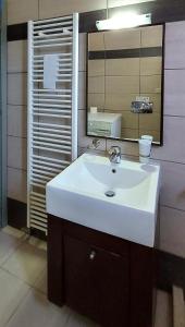 a bathroom with a white sink and a mirror at Thealia in Karefilianá
