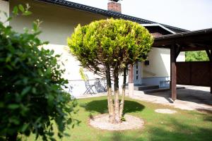 A garden outside Villa Forellenweg
