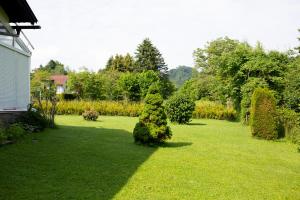 A garden outside Villa Forellenweg