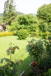 Vonkajšia záhrada v ubytovaní Villa Forellenweg