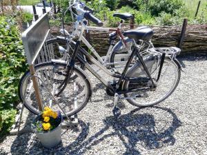 dwa rowery zaparkowane obok siebie z kwiatami w obiekcie Het Zeeuwsverblijf w mieście Terneuzen