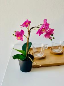 una planta en una olla en un estante con dos vasos en La Stanza Dei Desideri, en Peschici