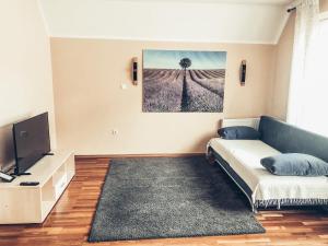 TV a/nebo společenská místnost v ubytování Apartment and rooms Maraton
