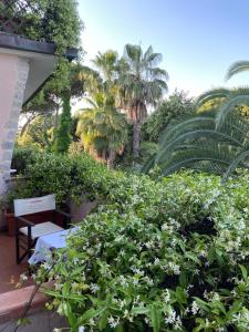 Zahrada ubytování Hotel Mignon