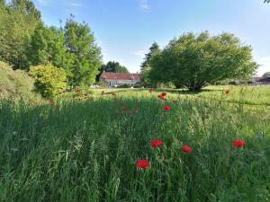 Zahrada ubytování Traînefeuilles - Chambres d'hôtes proche Zoo de Beauval