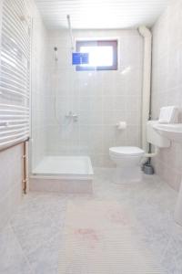 a bathroom with a shower and a toilet and a sink at Et Larum in Peštani +37 photos