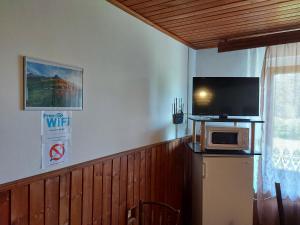 TV a/nebo společenská místnost v ubytování Pension MAAN