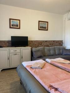 a living room with two beds and a flat screen tv at Hegedüs Major in Hortobágy