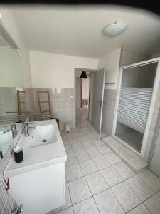 La salle de bains est pourvue d'un lavabo blanc et d'une douche. dans l'établissement Le petit écrin champenois, à Étoges