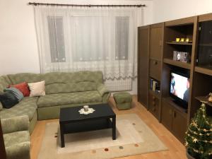 a living room with a green couch and a television at Apartmán v centre in Kremnica