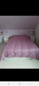 Un pat sau paturi într-o cameră la Gîte les chiwawas d'Alsace