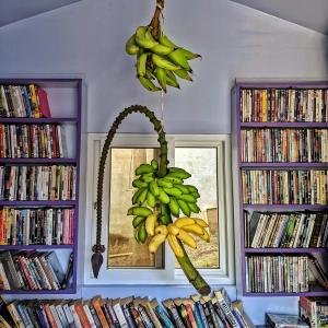 Knihovna v bed and breakfast