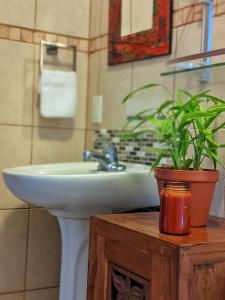 Fotografie z fotogalerie ubytování Seaside Inn Roatan v destinaci West Bay