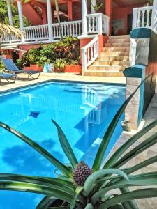 Bazén v ubytování Seaside Inn Roatan nebo v jeho okolí