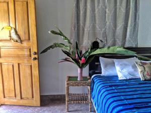 Postel nebo postele na pokoji v ubytování Seaside Inn Roatan