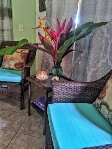 Posezení v ubytování Seaside Inn Roatan