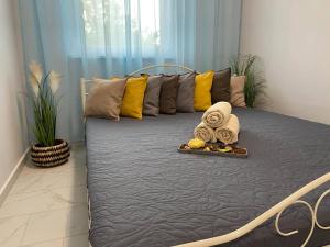 a bed with towels on it in a room at Daylight City Center in Szeged