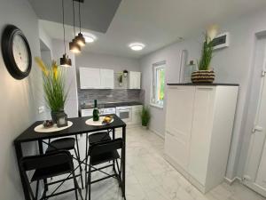 a kitchen with a table and chairs in a room at Daylight City Center in Szeged