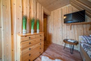 a bedroom with a dresser with a tv on it at Podhalański Domek in Szaflary