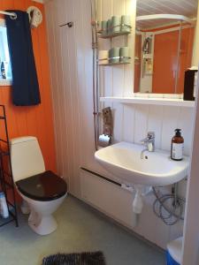 a bathroom with a toilet and a sink at Sjøhaug Rorbu in Moskenes