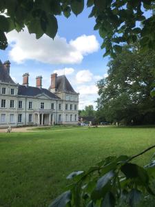 una grande casa bianca con un grande prato di Chateau L' Escale a Saint-Herblon