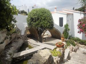 a garden with a tree and a house at 4 Vents Cala Galdana in Cala Galdana