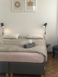 a bedroom with a bed with two lamps on it at Central 2 bedroom flat in heart of Eaux-vives in Geneva