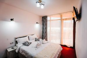 ein Schlafzimmer mit einem Bett und einem großen Fenster in der Unterkunft Pensiunea Bellavista in Dubova