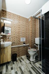 ein Bad mit einem WC und einem Waschbecken in der Unterkunft Pensiunea Bellavista in Dubova