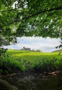 Galeriebild der Unterkunft Bridgeview Farmhouse Bed and Breakfast in Kilbrittain