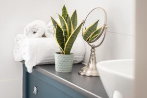 a bathroom with towels and a plant and a mirror at Redlands Country Lodge Apartments with Hot Tubs in Ladybank