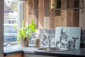 a kitchen sink with a picture of a man on the wall at Redlands Country Lodge Apartments with Hot Tubs in Ladybank