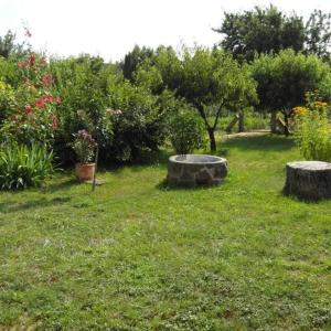 Zahrada ubytování Ilona apartmanok
